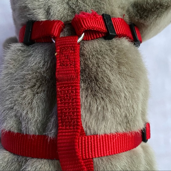 Set of 2 Adjustable Step In Nylon Small Dog Breed Harness with Buckle Closure - Picture 9 of 16